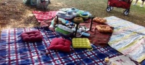 Picknick